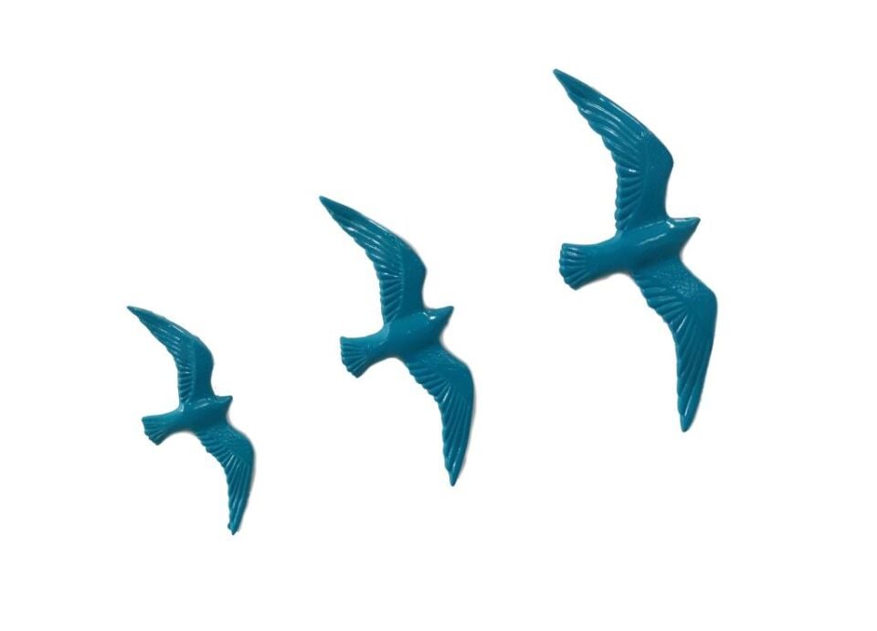3' lü Turkuaz Kuş Duvar Süsü