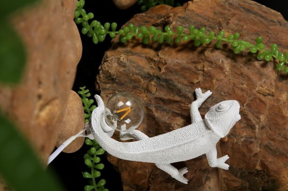 Dekoratif Lamba Tutan Bukalemun Abajur Masa Aydınlatma Dekoru Modern Aydınlatma Ev Dekor