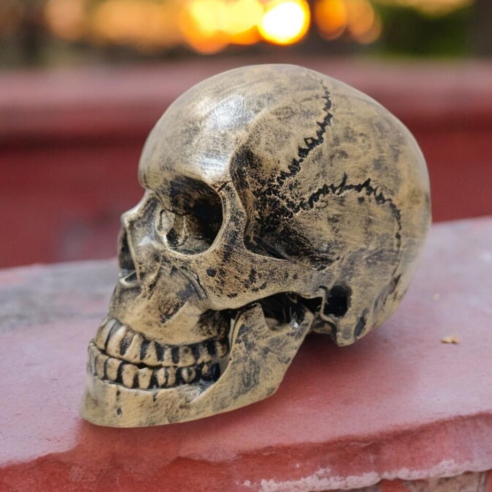 1:1 İnsan Kafası Kafatası Heykeli Dekor Kroki Modeli Heykel