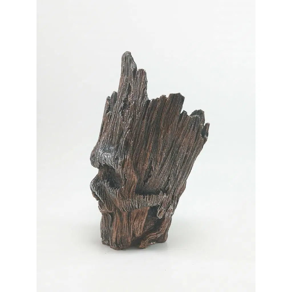 Dekoratif Kuru Kafa Biblo Heykel - BRONZ